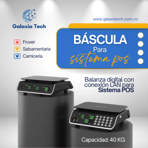 Bascula para fruver